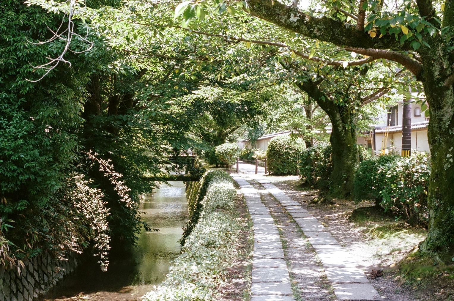 The Philosopher's Path, a nice relaxed walk near a canal.