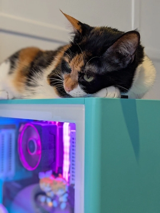 Kami, a young female calico cat, resting on top of my PC.